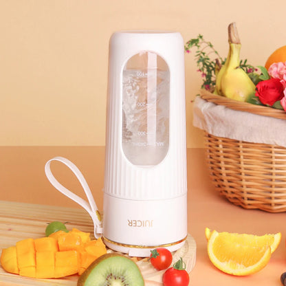 Blendiolux Portable Mini Blender 340ml