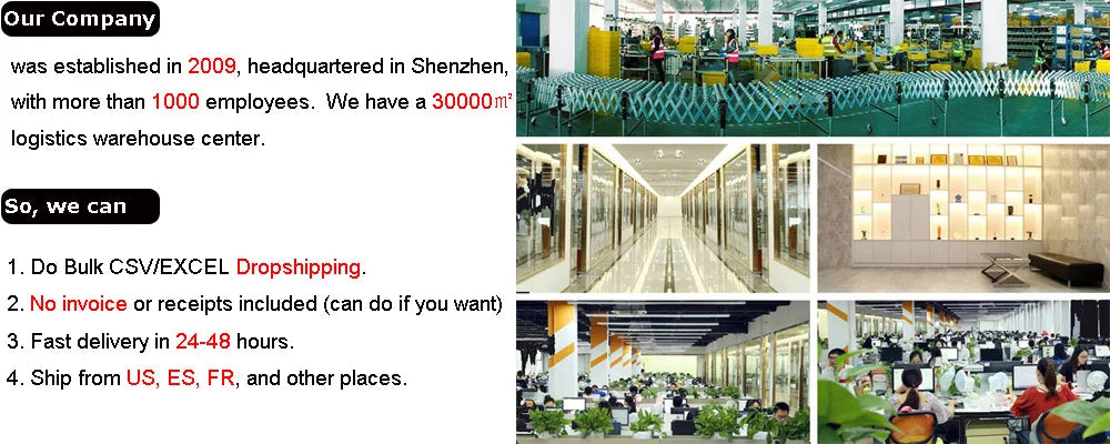 Blendiolux Portable Mini Blender 340ml