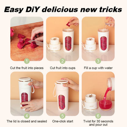 Blendiolux Portable Mini Blender 340ml