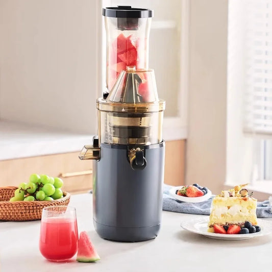 Blendiolux Pro Slow Juicer